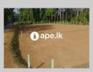 Land For Sale In Bope